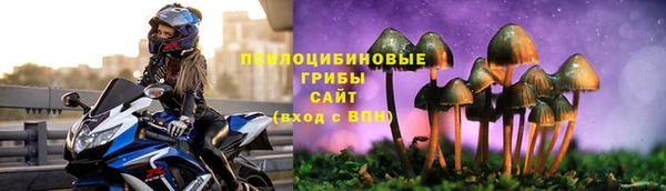 дмт Горно-Алтайск