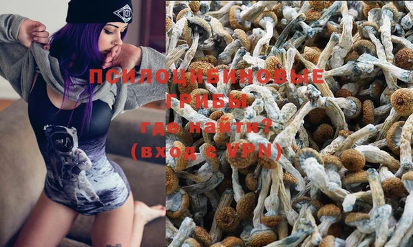 прущие крисы Вязники